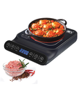 [AG2166] Anex AG-2166EX Deluxe Hot Plate